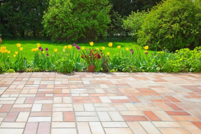 Read more about the article Pavele vs. asfalt: cum faci alegerea potrivită pentru aleea ta?